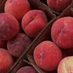 Enjoy our fresh local peaches