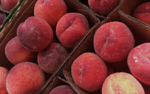 Enjoy our fresh local peaches