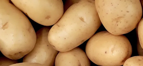 fresh new potatoes