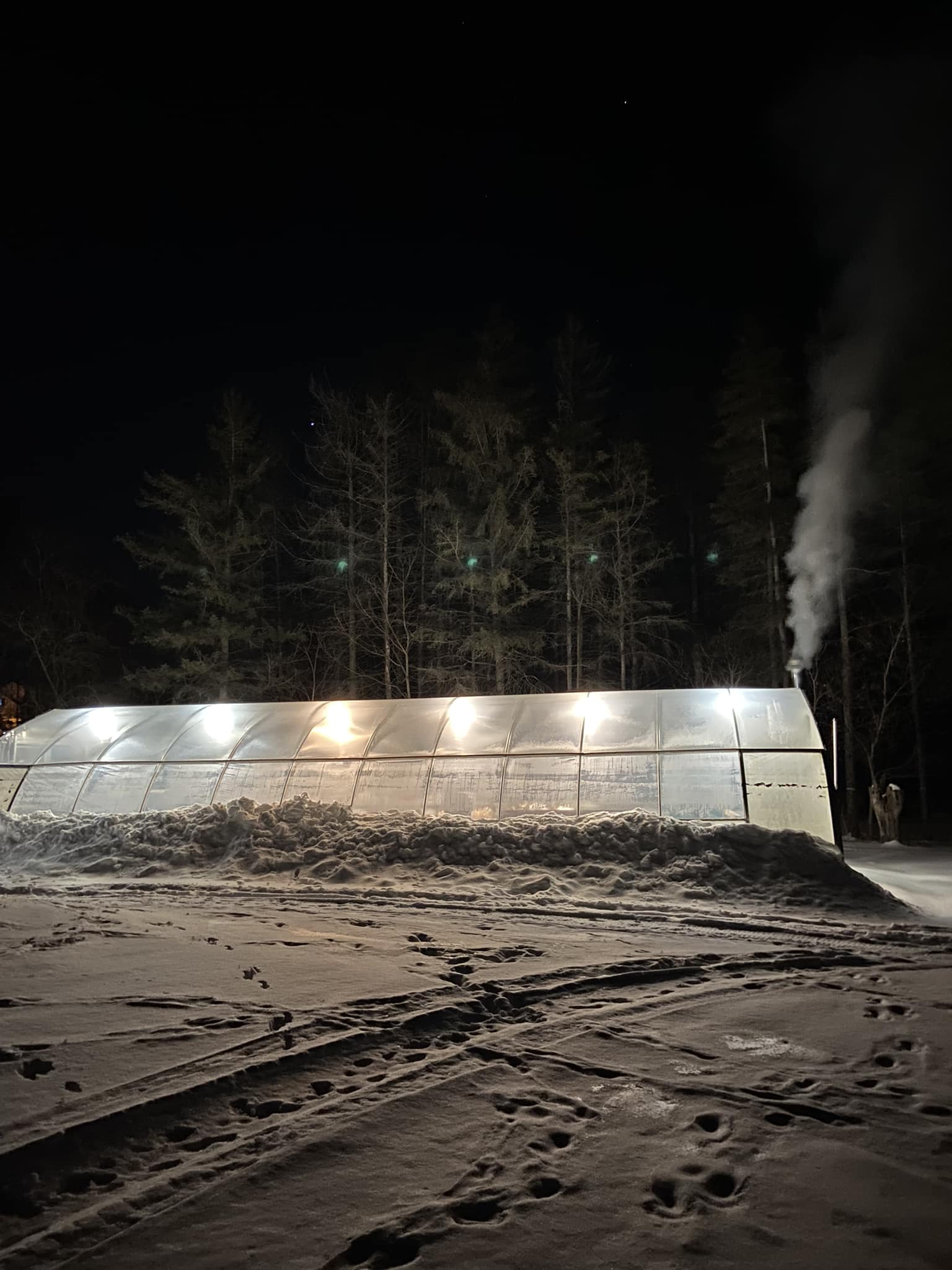 greenhouse at night