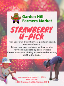A poster with details of strawberry upick opening - these details are also in the body of the post 